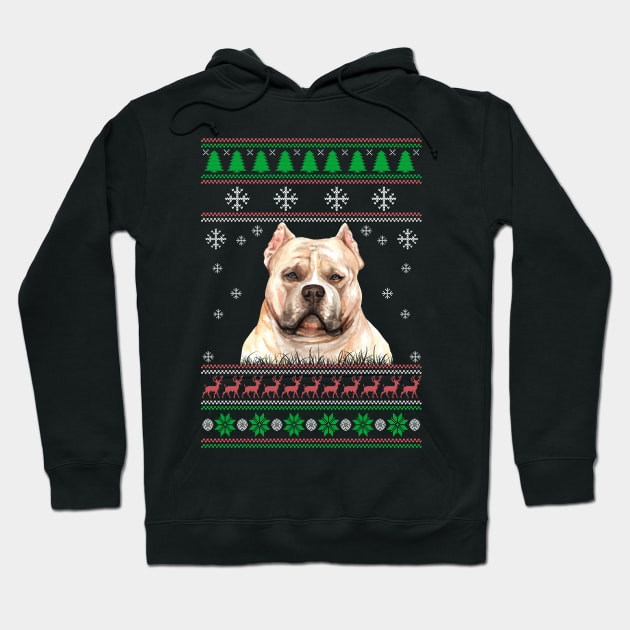 American bully sweater cheap